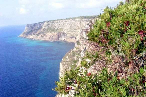 Falaises